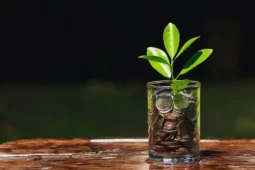 Qué es la inversión: planta creciendo entre monedas.